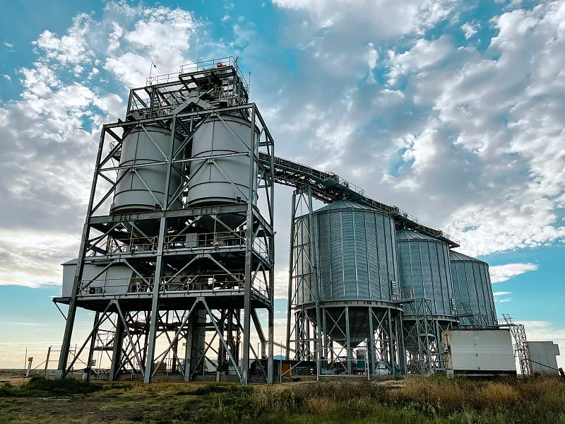 Rice & Paddy Steel Silo