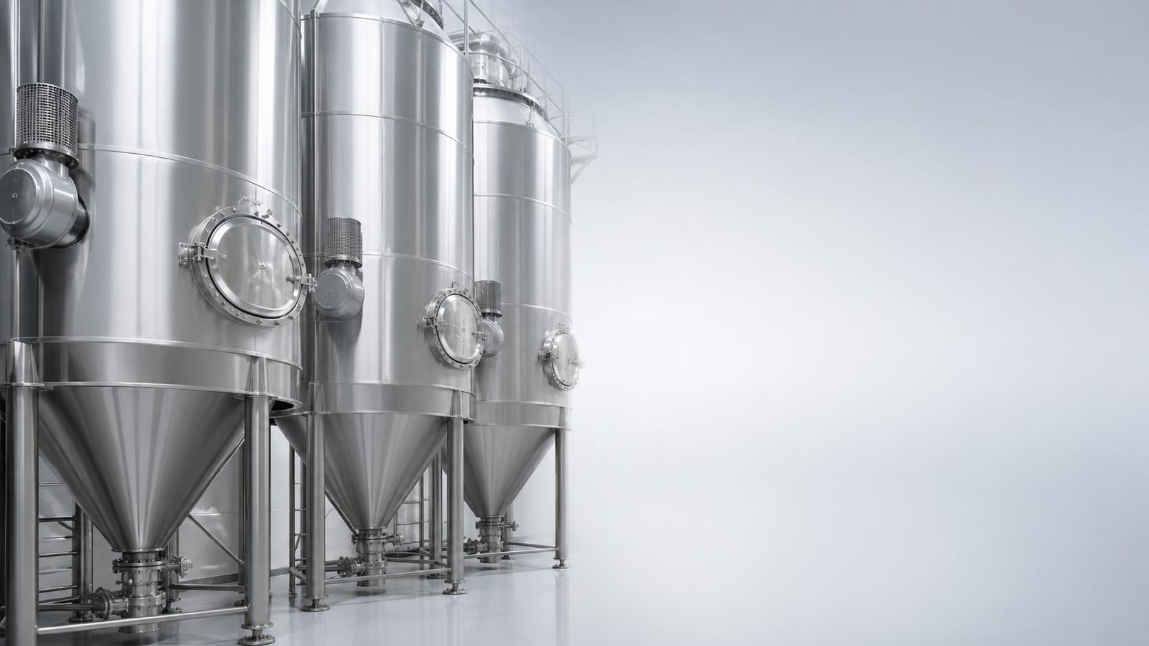 Bulk Material Storage Silos in Food and Feed Plants: Hygiene Requirements Bulk Material Storage Silos in Food and Feed Plants: Hygiene Requirements