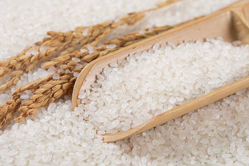 Silo de acero para arroz y arroz con cáscara