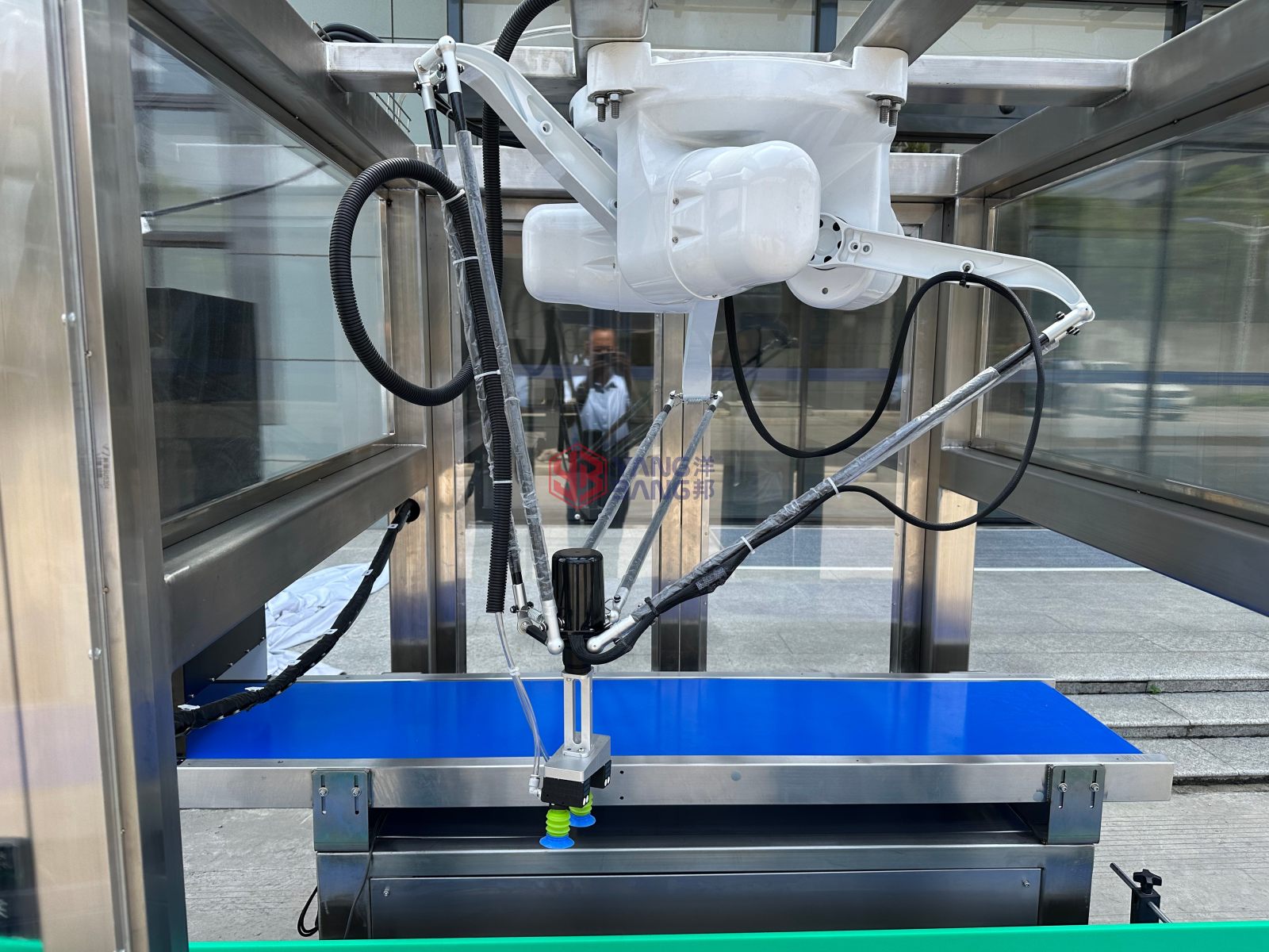 YB-ZXD1 Automatic Stable Performance Soft Bag Milk Bag Bread Bags Case Packer Carton Box Packing Machine High Speed