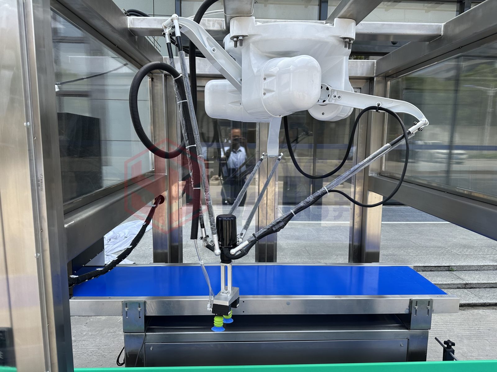 YB-ZXA High Speed Full Automatic Bag Case Packer Machine with Pouch Collating and Loading System for Premade Bags