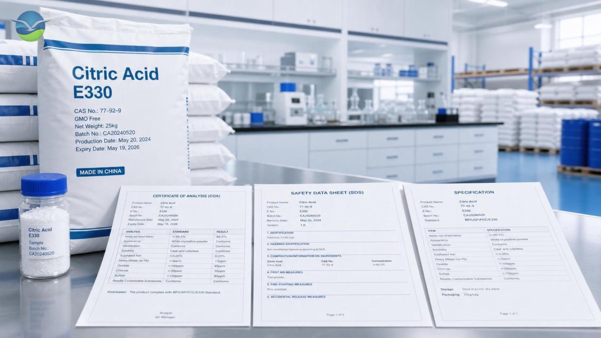 What Does Citric Acid E330 Mean on Ingredient Lists and Compliance Documents?