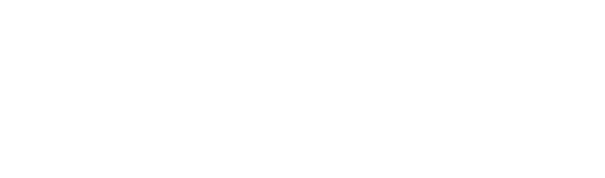 Shouyuan Steel logo-1
