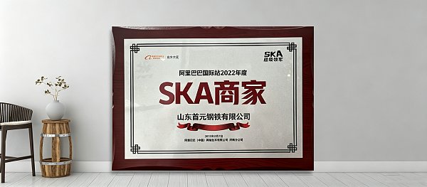 SKA Merchant