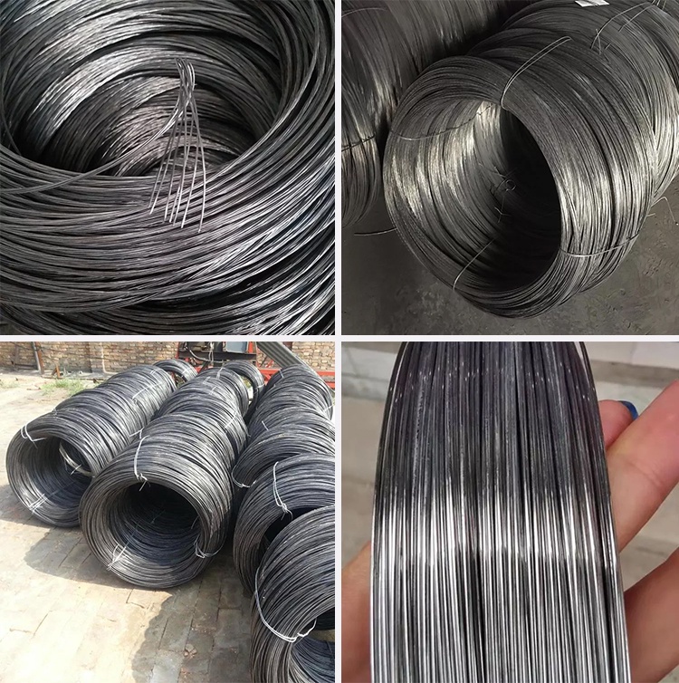 SAE 1008 Steel Wire Rod