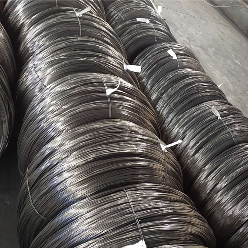 SAE 1008 Steel Wire Rod