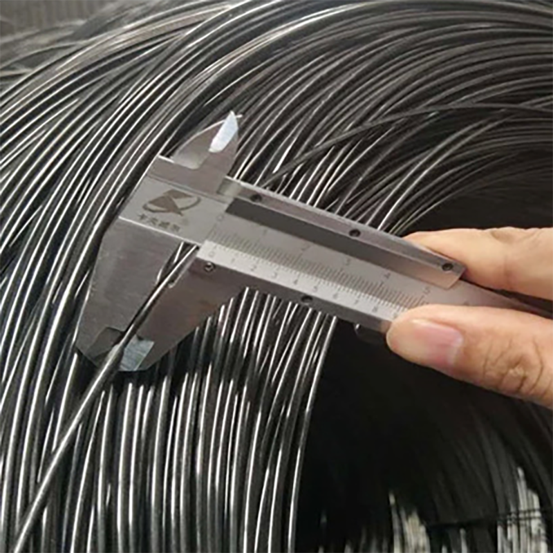 SAE 1008 Steel Wire Rod