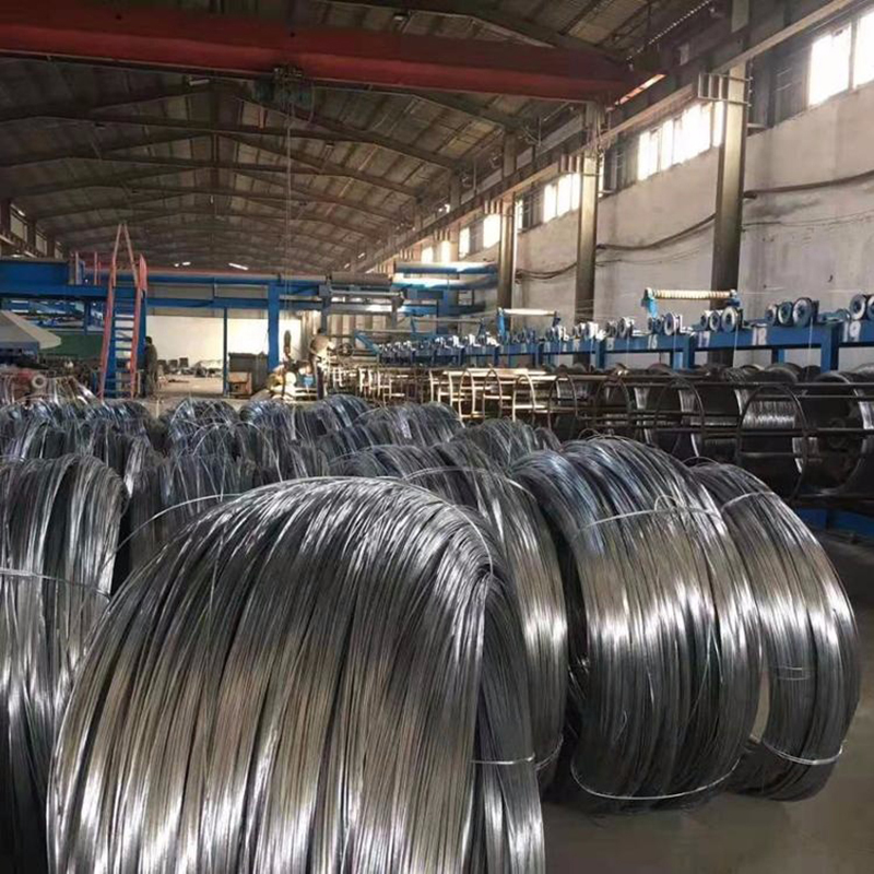 SAE 1008 Steel Wire Rod