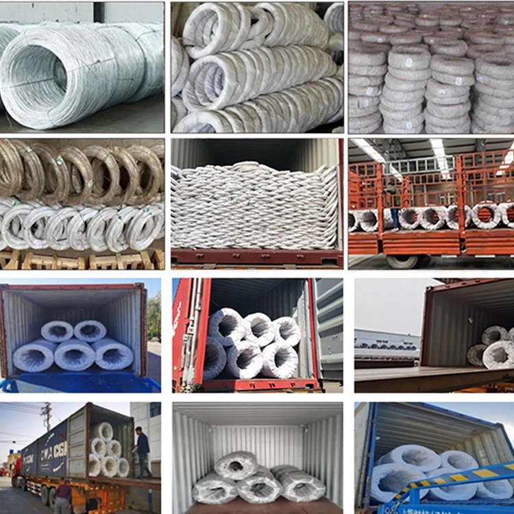 Galvanized Iron Wire