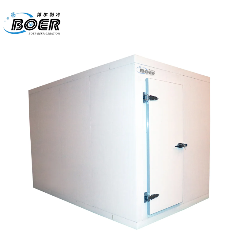 Petite installation frigorifique standard  1-1-2 800x800 (5)