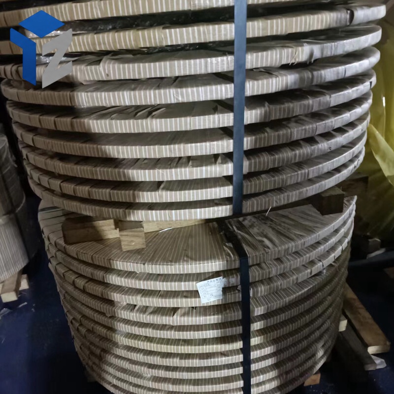 304 Stainless Strip