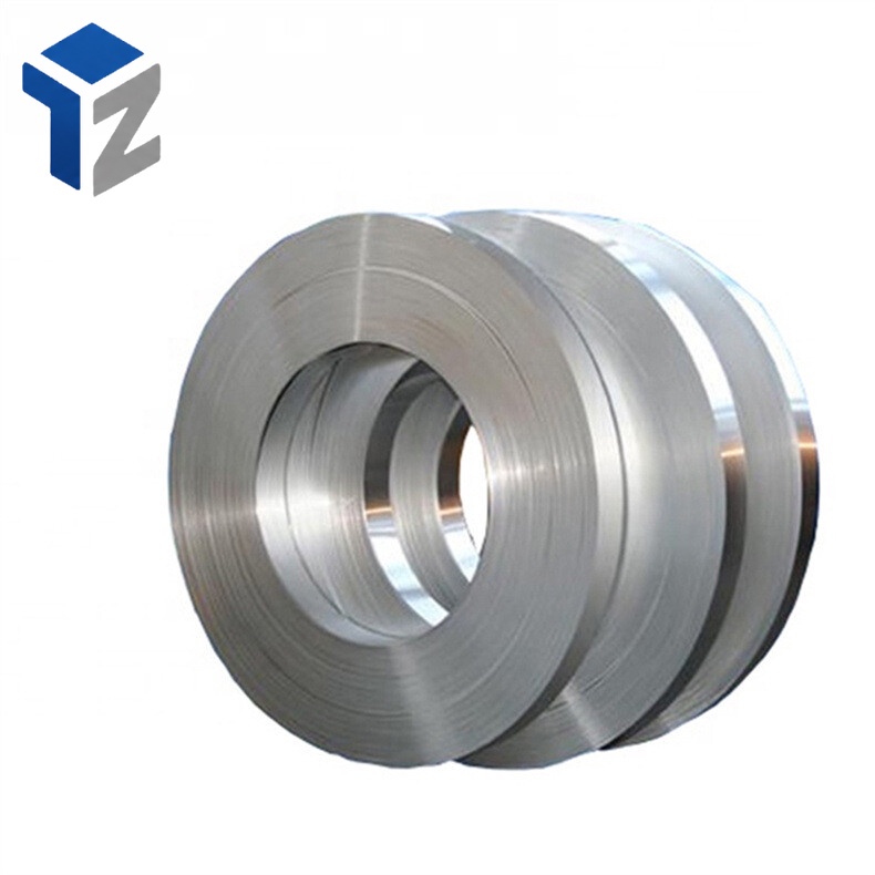 310 Stainless Strip