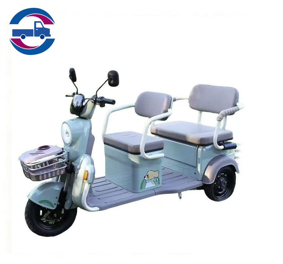Cargo tricycle--C19