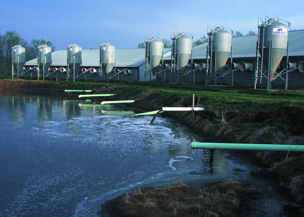 Traitement des eaux industrielles et génie chimique