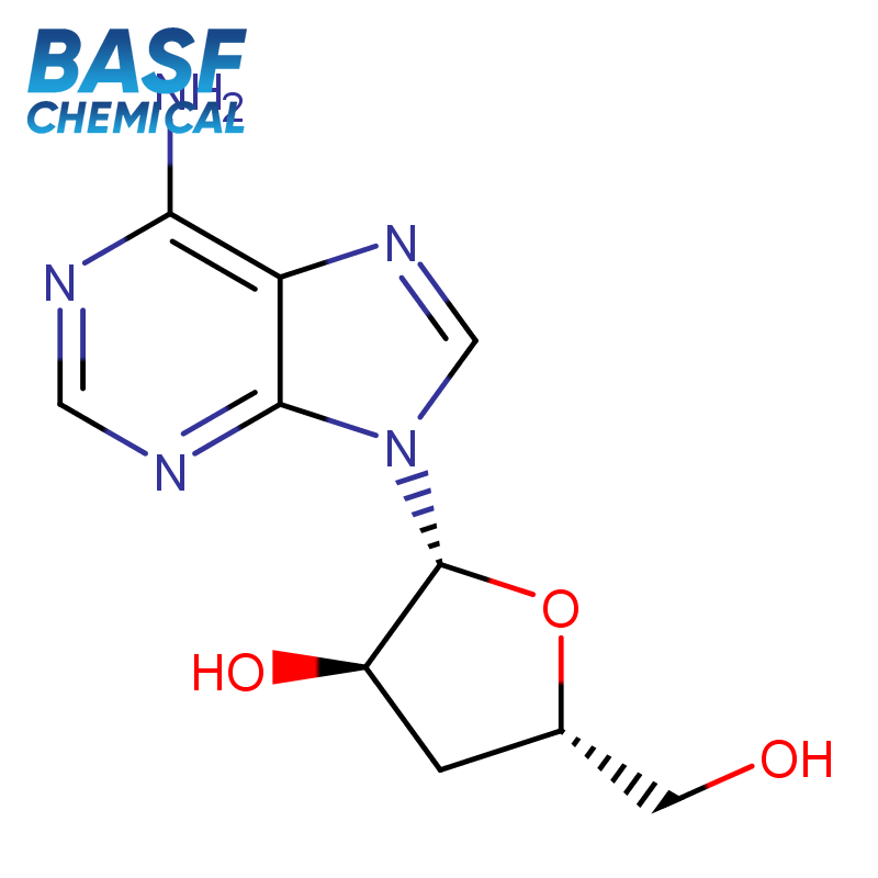 Korditsepin