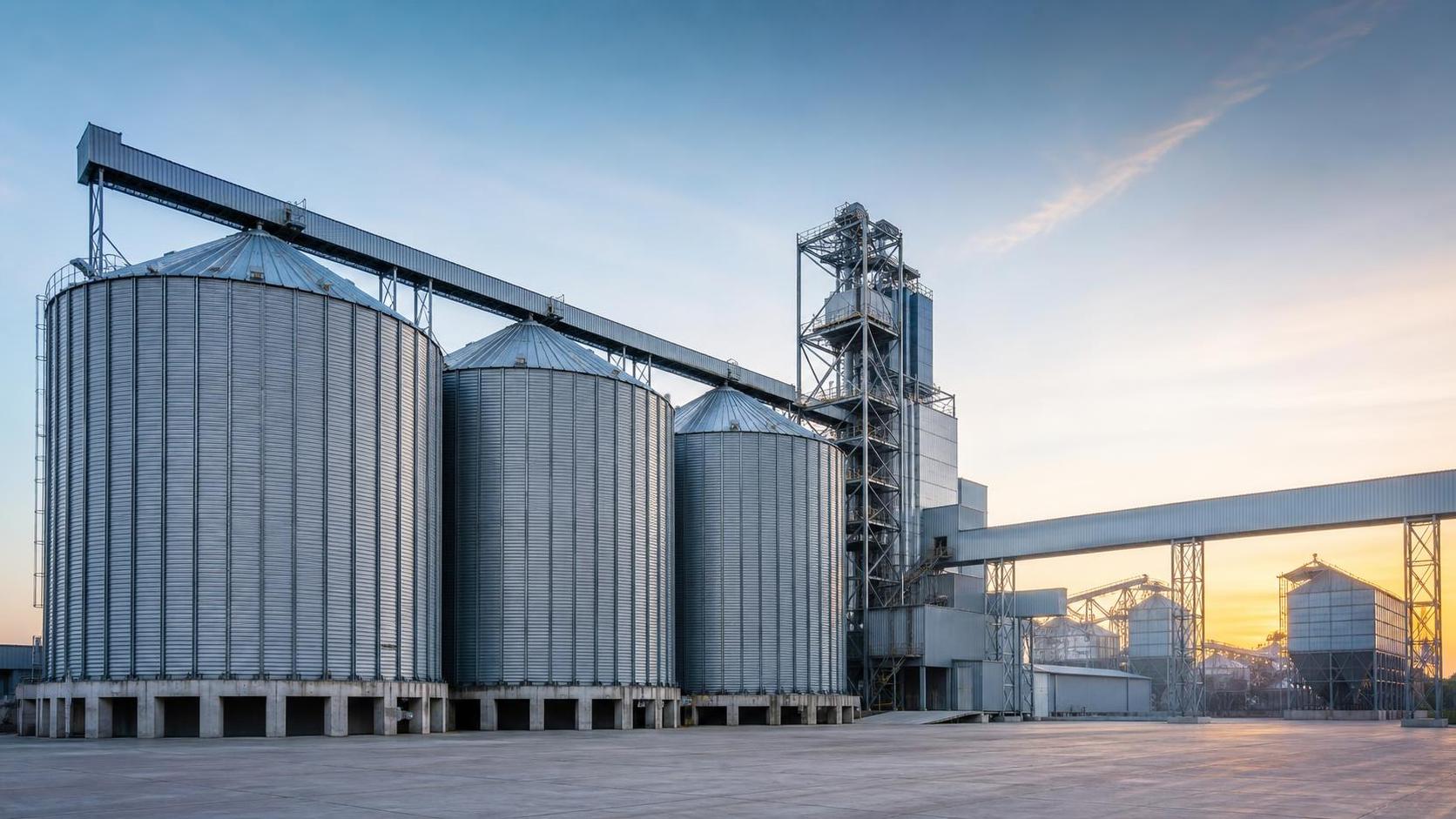 Tendencias de inversión en silos para granos: ¿qué impulsa las nuevas construcciones?