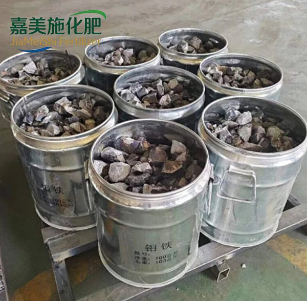 Iron Molybdenum 60