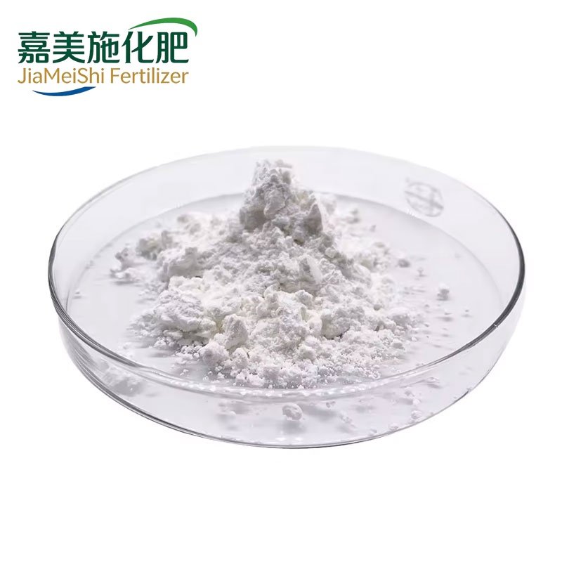 Sodium Formate