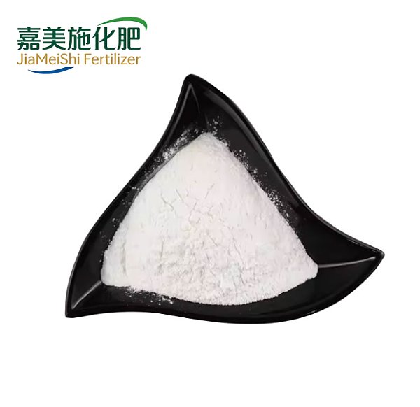 L-Glutamic Acid