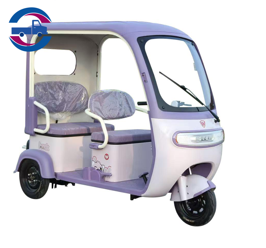 Tricycle cargo--L 8