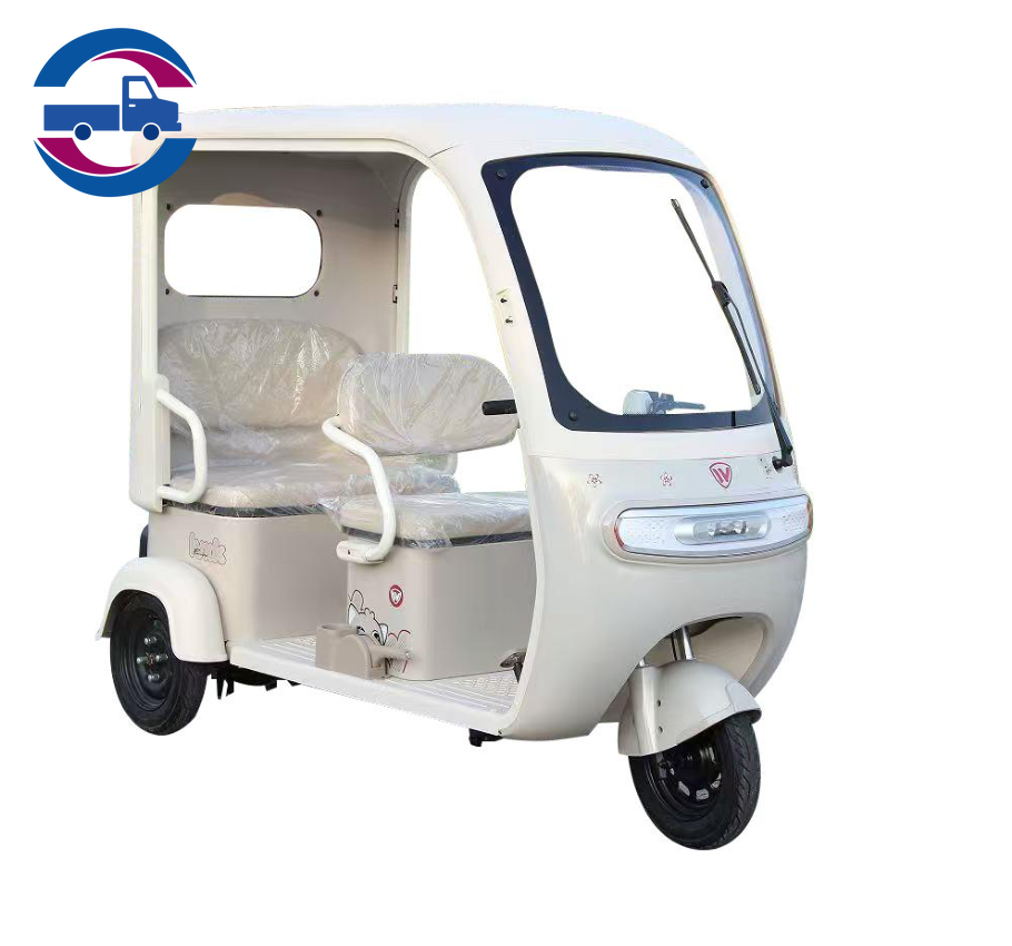 Tricycle de transport--L 8