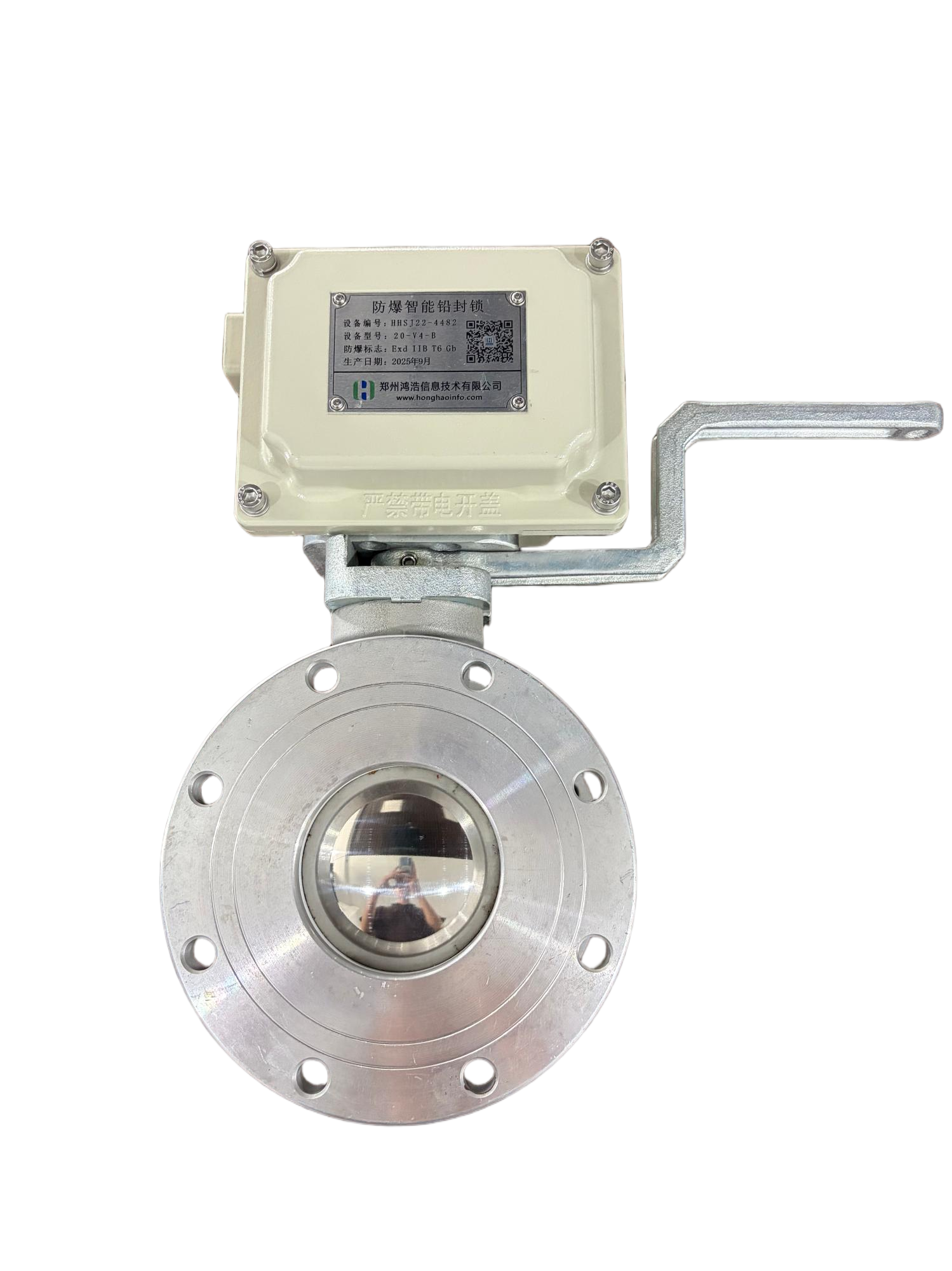 API Ball Valve Lock(LD)