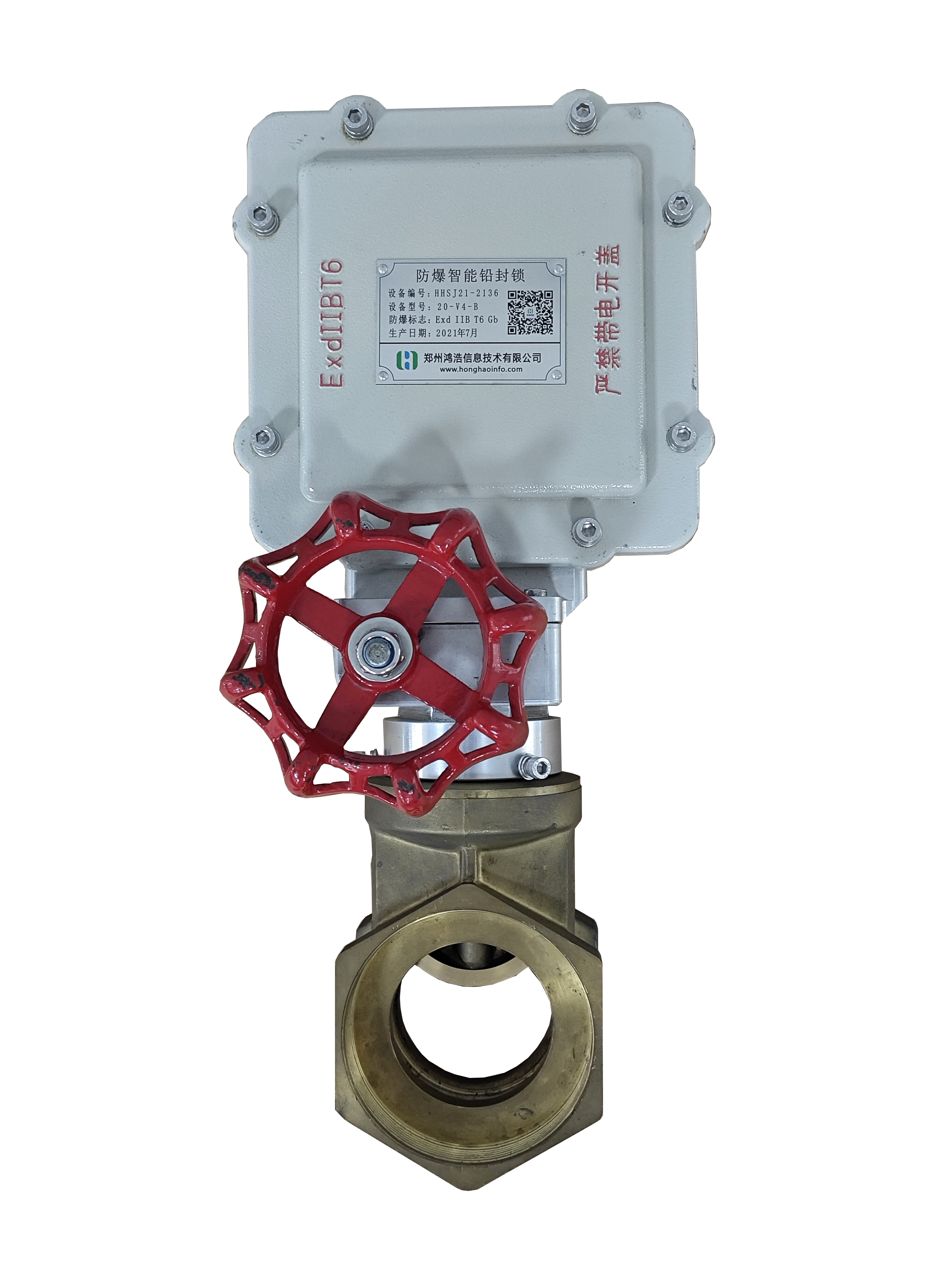 API Ball Valve Lock(LD)