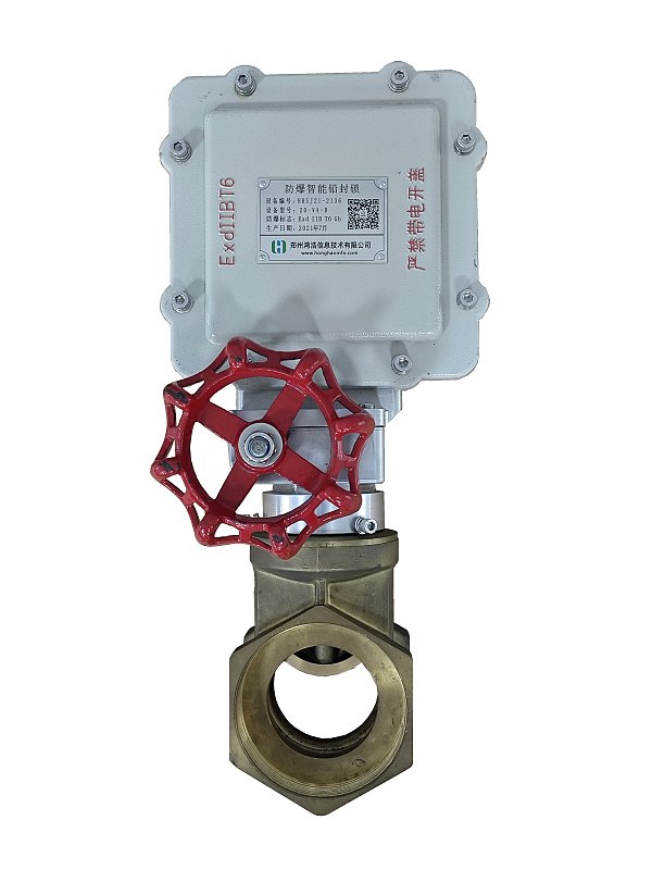 Gate Valve Lock