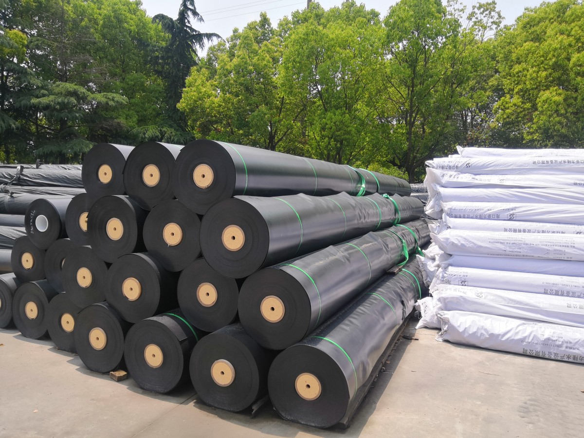 Smooth HDPE Geomembrane | GRI-GM13 Virgin Resin | 60t/Day Capacity