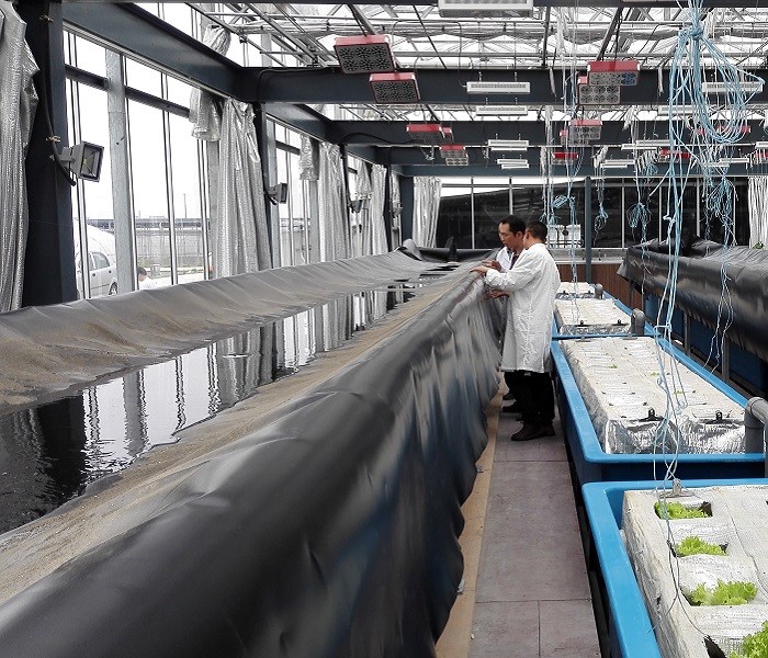 LLDPE Geomembrane Smooth