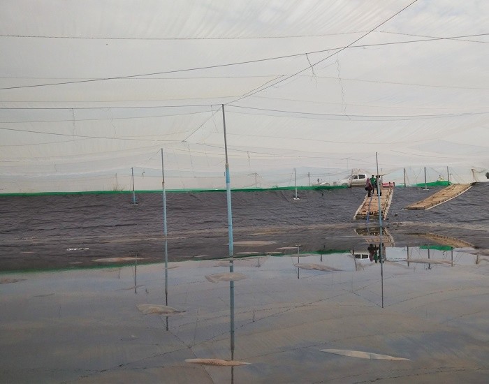 aquaculture pond liners HDPE Plastic Liner