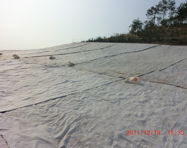 Geocomposite construction