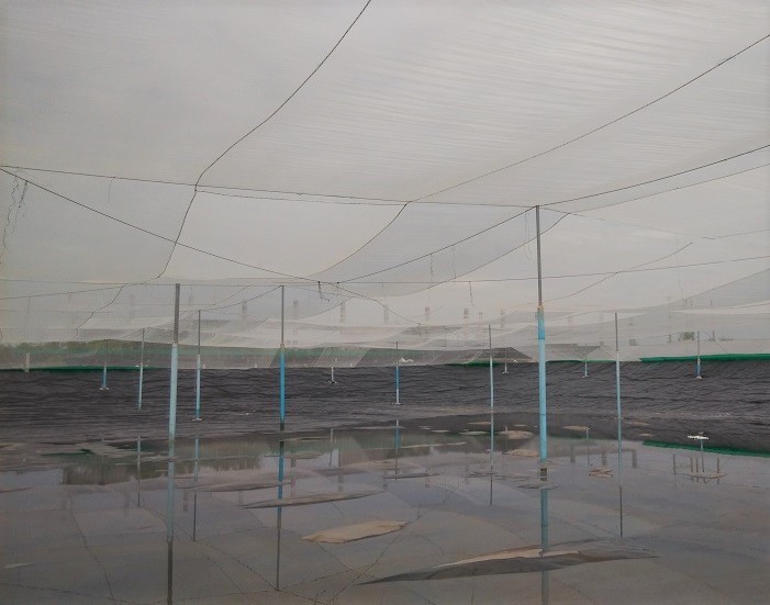 Fish&shrimp Pond Liner