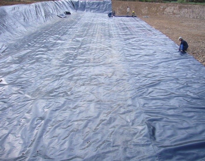 Fish&shrimp Pond Liner