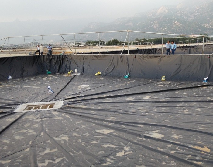 Fish&shrimp Pond Liner