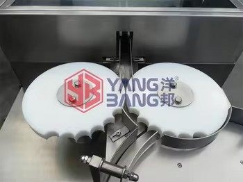 آلة YB-ZX100 الأوتوماتيكية لغسل الزجاجات بالأسطوانة الدوارة والشطف بالهواء للزجاجات الزجاجية/البلاستيكية