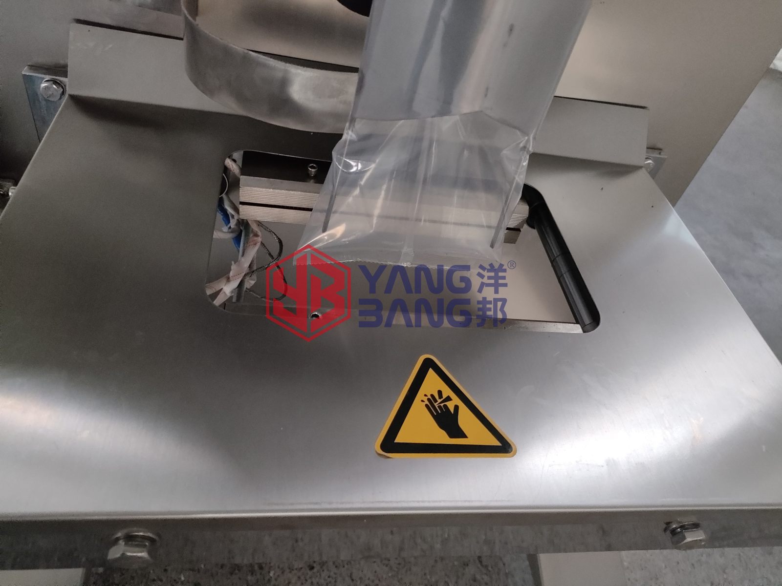 آلة تعبئة وتغليف بالأكياس للخضروات YB-450LD الأكثر مبيعًا، لأكياس براعم الفاصوليا، مع وظيفة تشكيل الأكياس واللحام الوسادي
