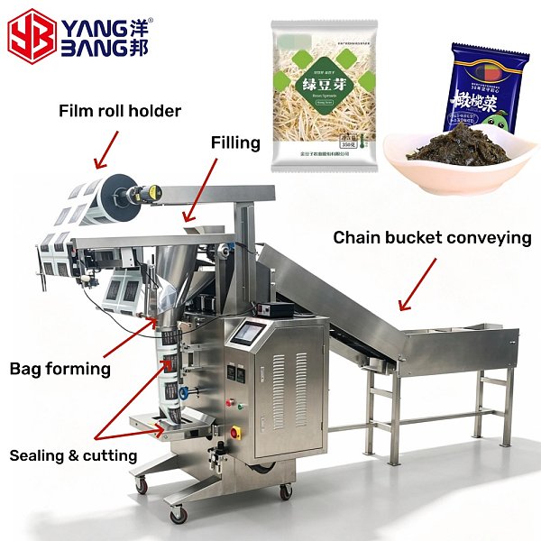 YB-450LD Máquina de envasado con cubetas de cadena de acero inoxidable para brotes de alfalfa y brotes de soja, de gran venta a precio de fábrica