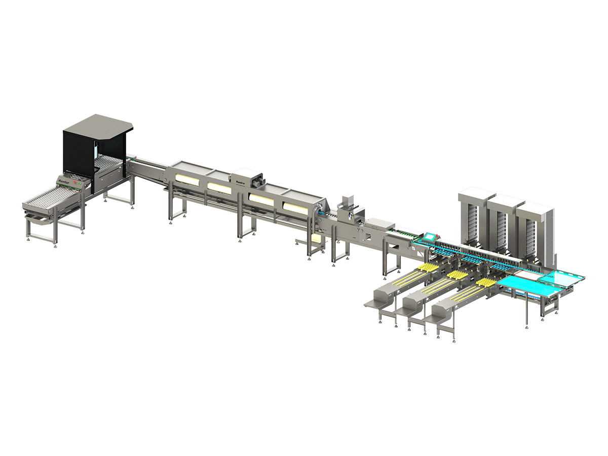 10,000 Egg Grading & Washing Machine