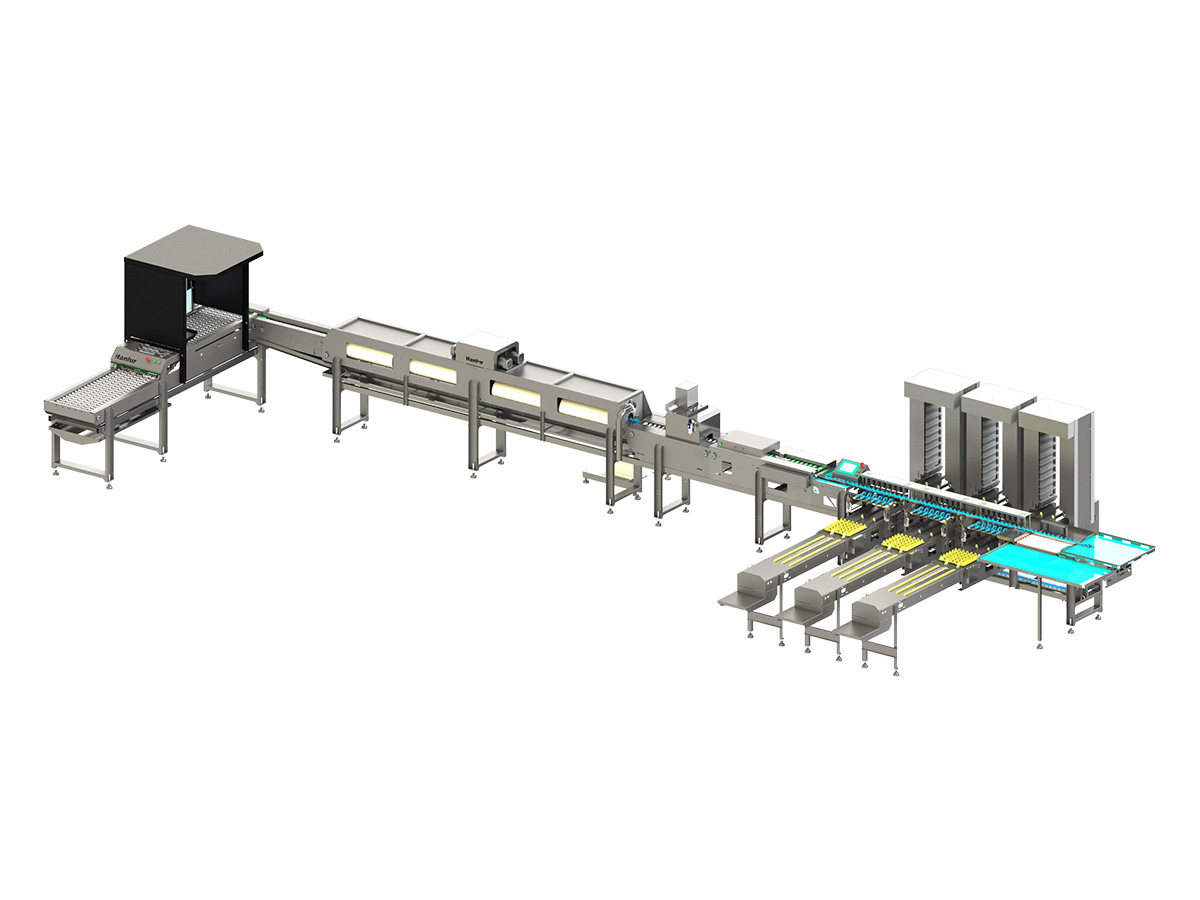 10,000 Egg Grading & Washing Machine
