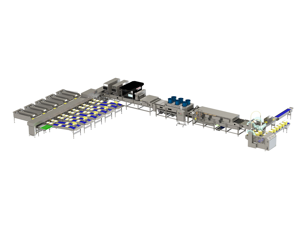 60,000 Egg Grading & Washing Machine