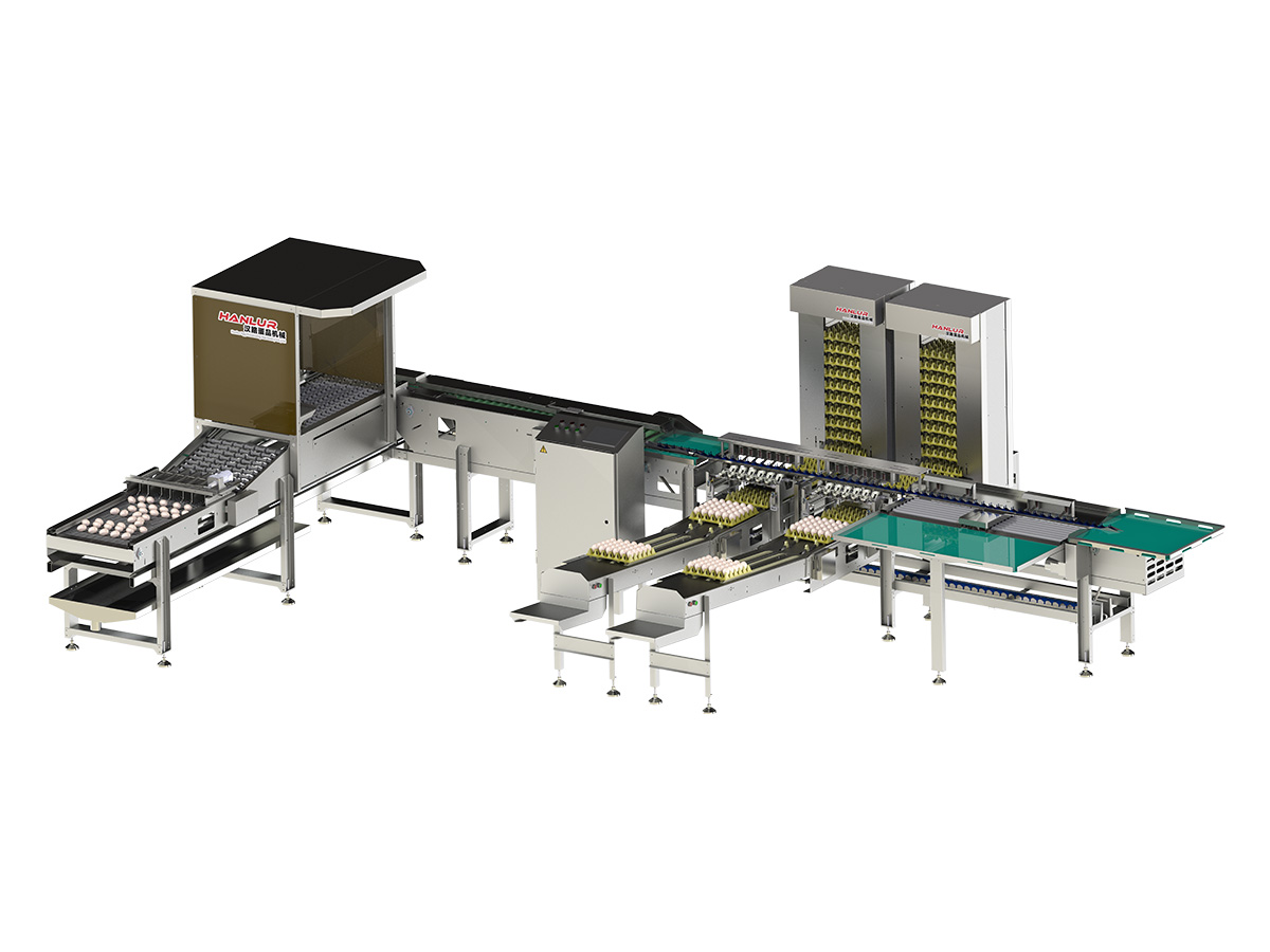 10,000 Egg Grader-Precision static weighing with LED candling