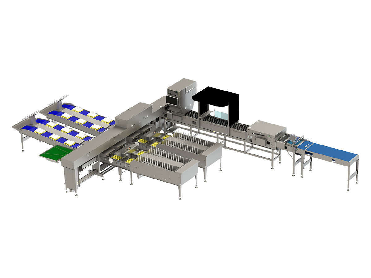 30,000 Egg Grader-Precision static weighing with LED candling, for operations where grading accuracy is the priority