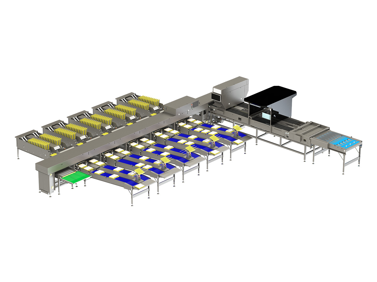 60,000 Egg Grader-Precision static weighing with LED candling, for operations where grading accuracy is the priority