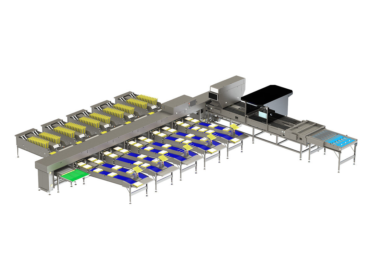 60,000 Egg Grader-Precision static weighing with LED candling, for operations where grading accuracy is the priority