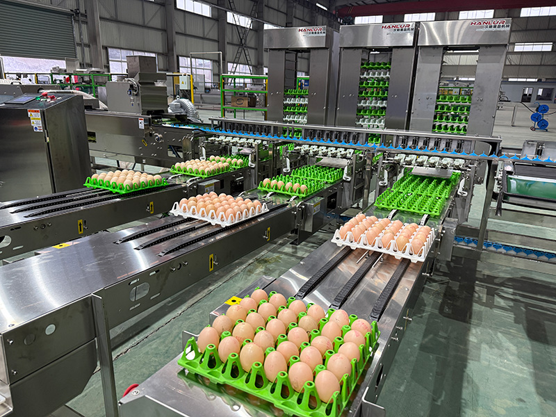 Automatic Tray Loading