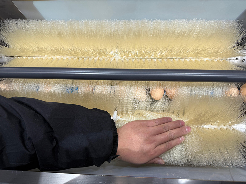 Cleaning Section