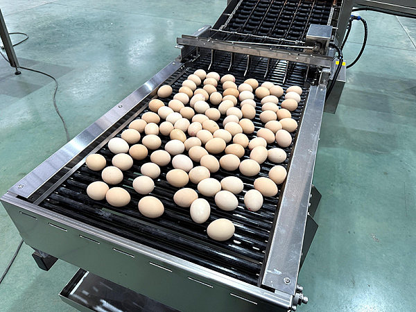 Egg On Platform