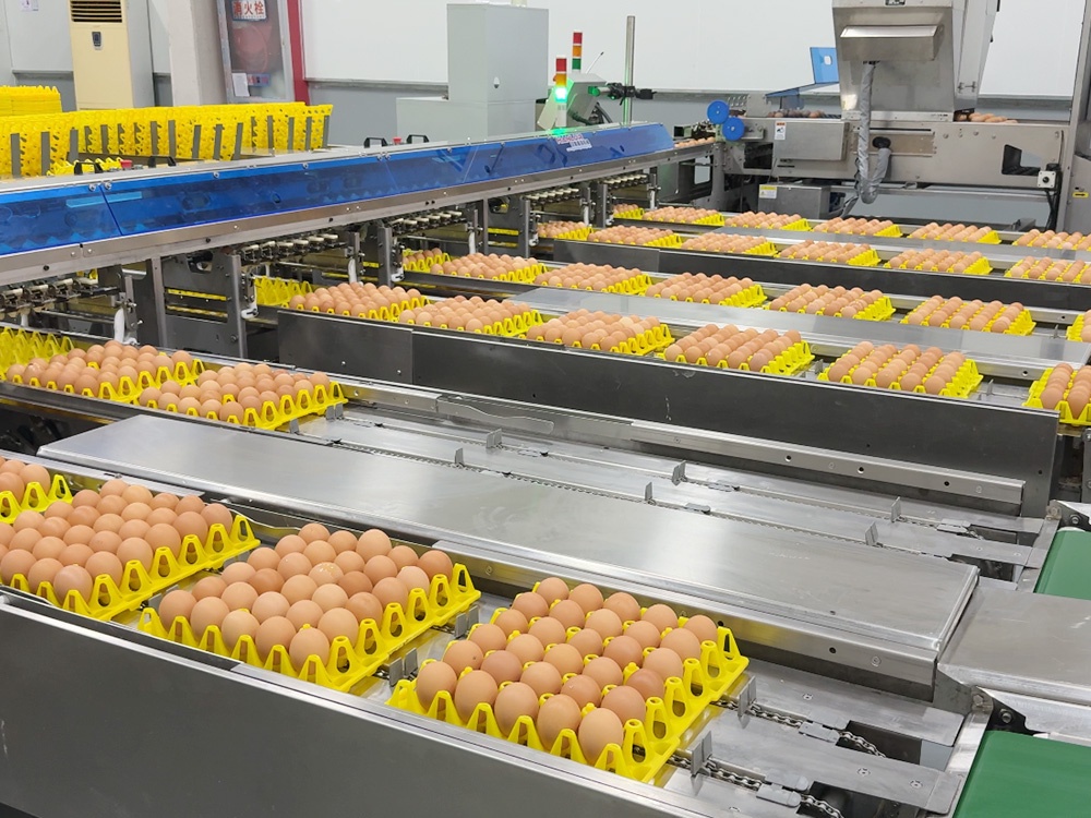 Automatic Tray Loading