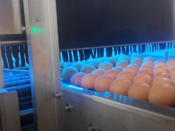 UV Sterilization